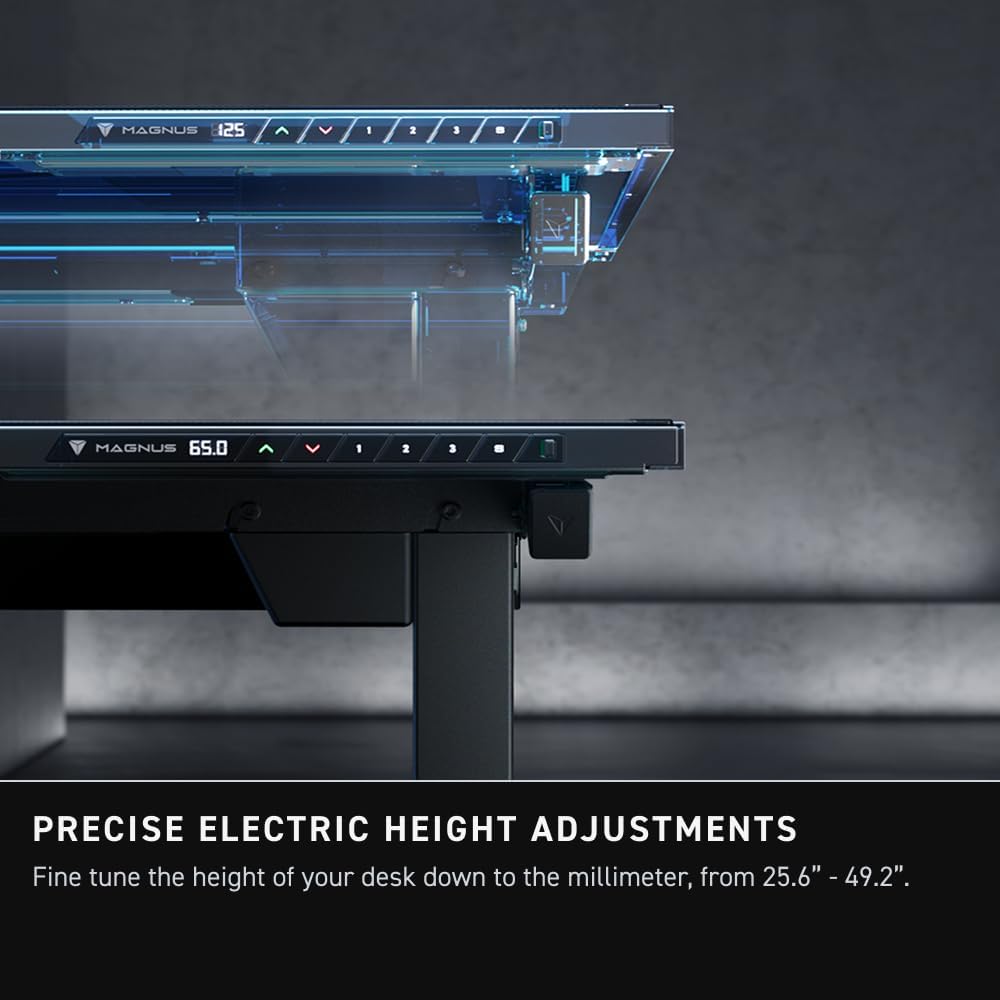 ErgoLift Electric Desk