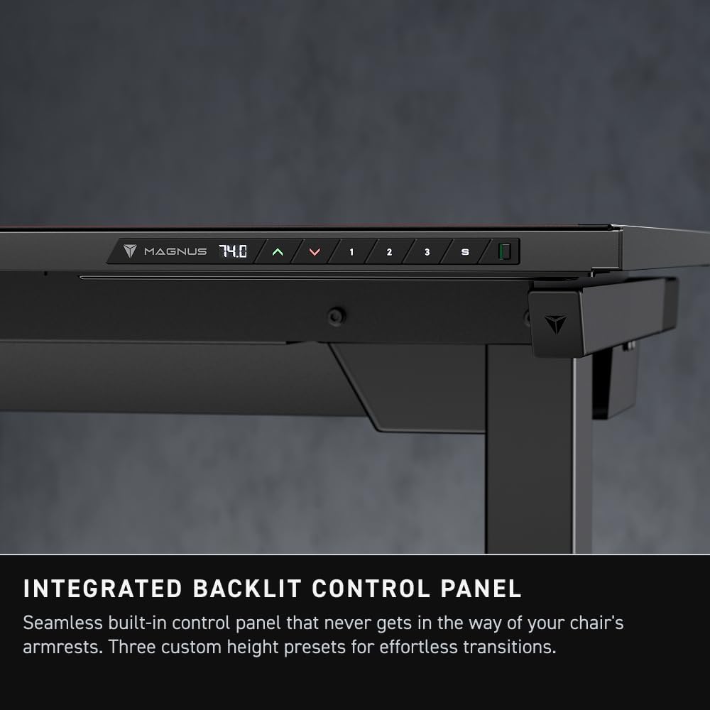 ErgoLift Electric Desk