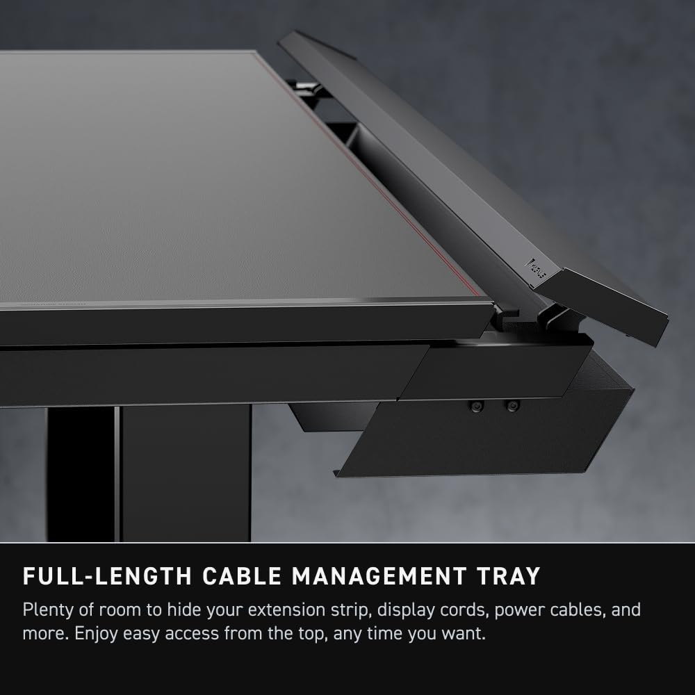 ErgoLift Electric Desk