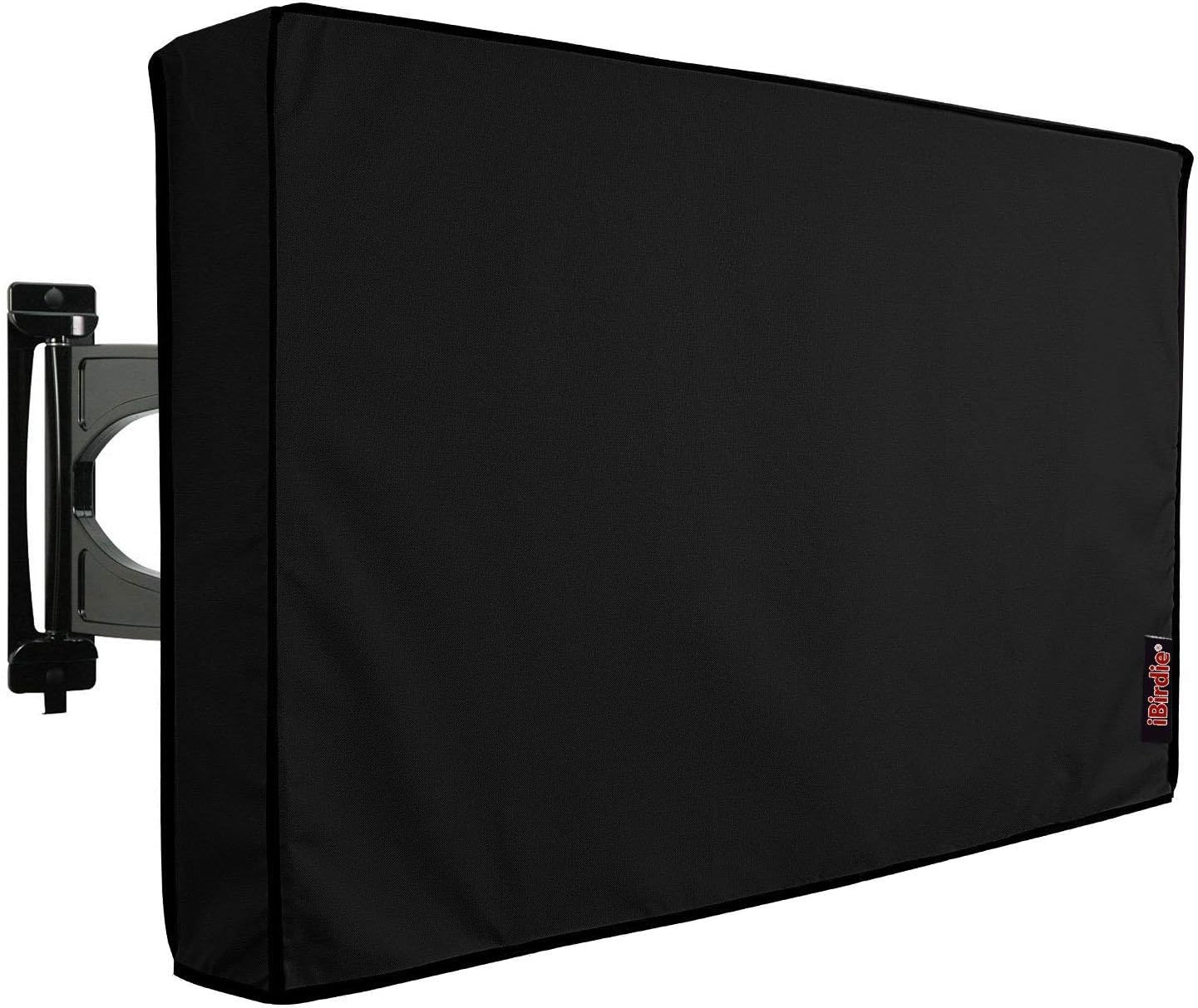 Weatherproof TV Protector