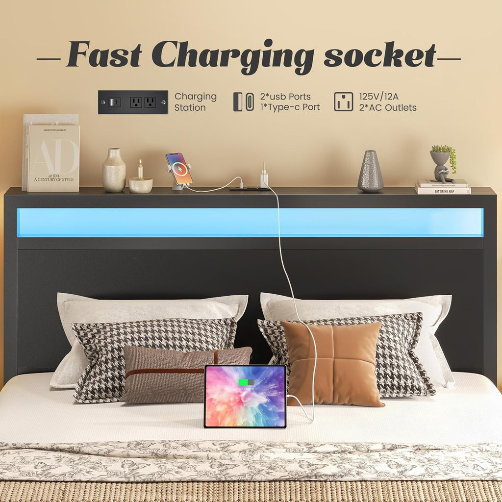 Elegant Queen Bed with Storage