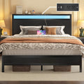 Elegant Queen Bed with Storage